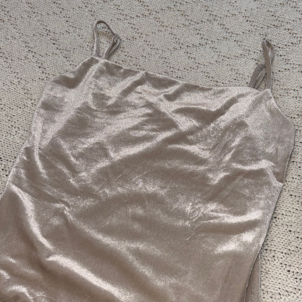 Shimmering Beige Velvet Tank